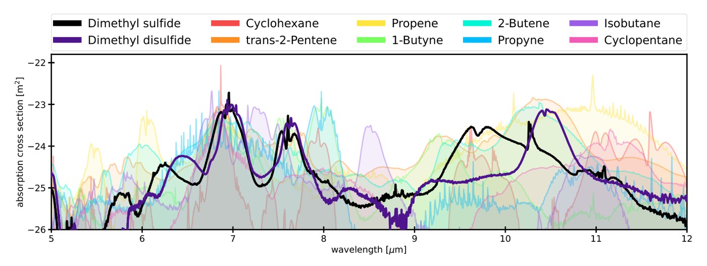 Absorption cross-sections from 5 to 12 microns for dimethyl sulfide, dimethyl disulfide and several hydrocarbons, whose features overlap across the range.